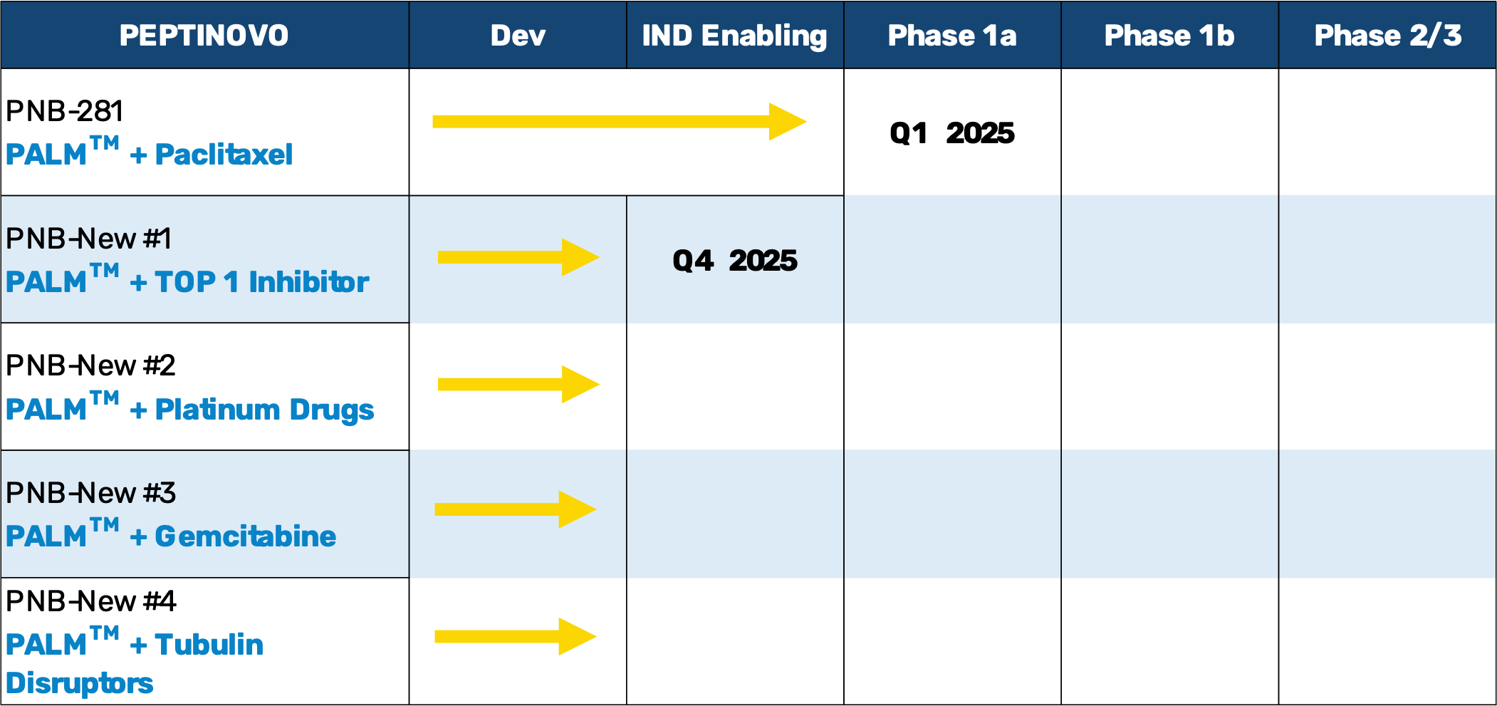 Pipeline Chart Showing 3 other chemotherapies that can be carried by PALM that are next in the pipeline after paclitaxel